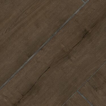 7963 Modern Conifer